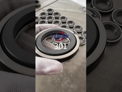 301 Sigillo meccanico a molla singola(Sostituire Aesseal B01, Bt-Ar, Flowserve 118, Mut Fa per Cyclan B01