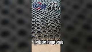 YUEMI 155 Tenuta Meccanica Affidabile e Versatile