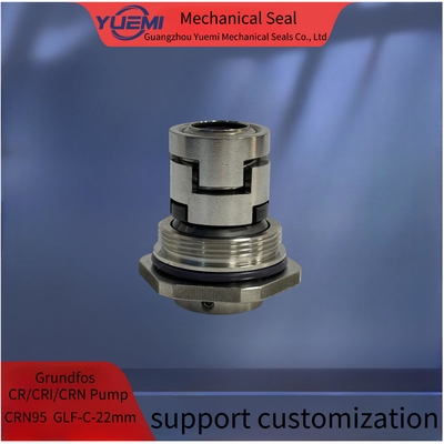 Pompata idrica Grundfos Sigillo meccanico CRN95 Cr CRI Crn Acciaio inossidabile GLF-C-22 Hqqe Hqqv