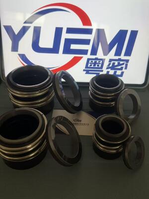 MG13/Z Centrifughe di tubi di acqua calda pompa di circolazione sigillo meccanico Glf Tp/Tpd/Lp/Lm, G4 G6 G60