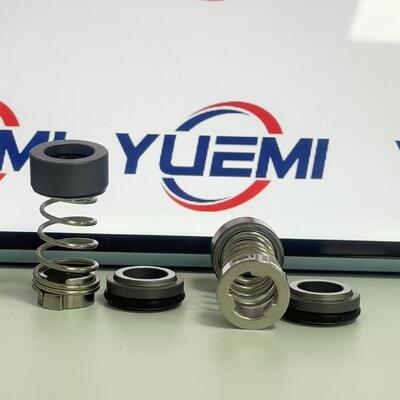 CH 2-20/30 12 mm per la pompa Grundfos Aqqe pompa Cr sigillo meccanico